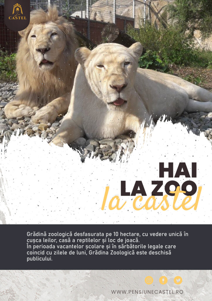 Te invitam la Zoo Brasov.Grădină zoologică desfasurata pe 10 hectare, cu vedere unică în cușca leilor, casă a reptilelor și loc de joacă.În perioada vacantelor școlare și în sărbătorile legale care coincid cu zilele de luni, Grădina Zoologică este deschisă publicului.